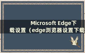 Microsoft Edge下载设置（edge浏览器设置下载文件位置）